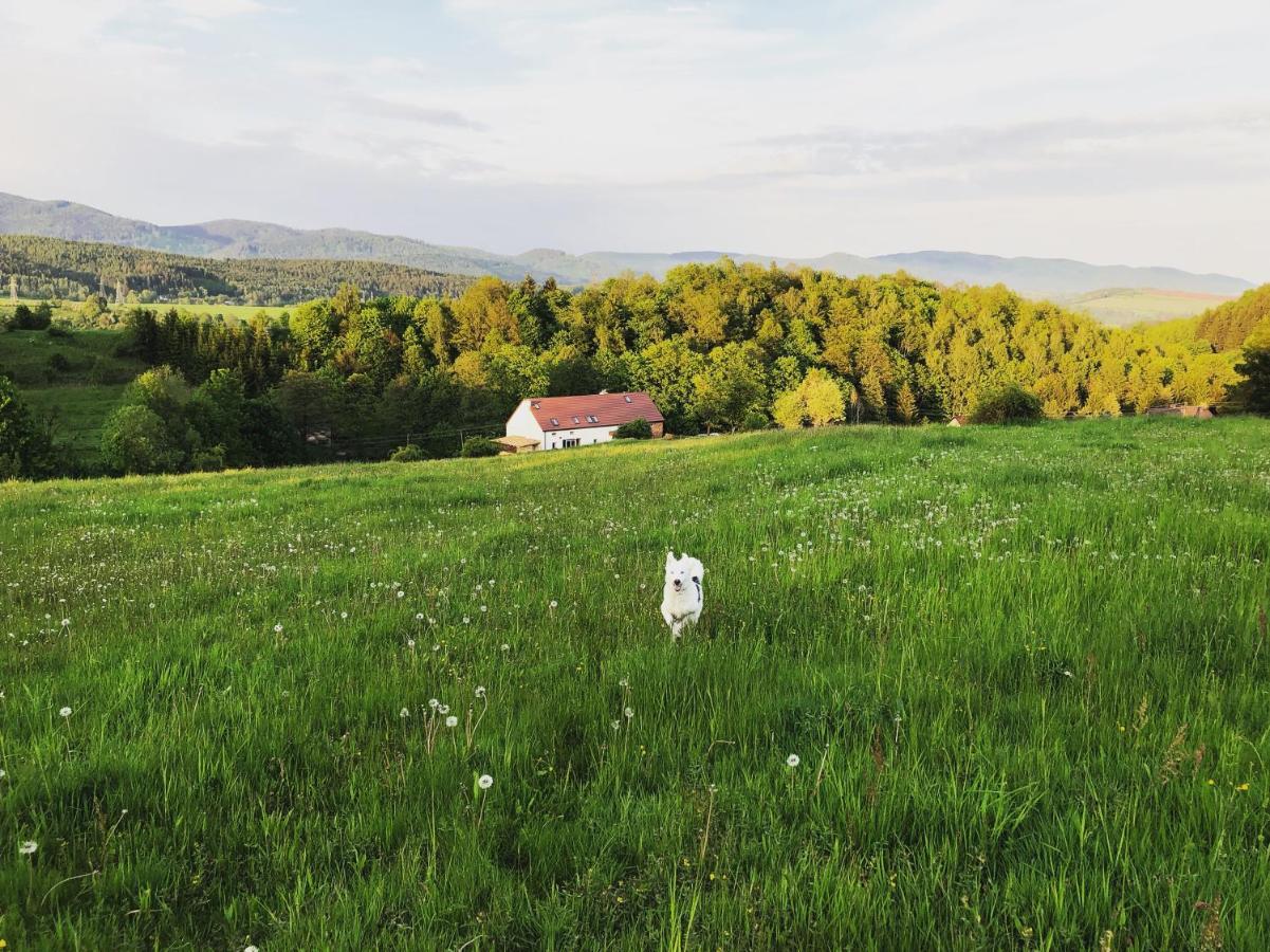 Willa Zapomnienie Nowa Ruda Zewnętrze zdjęcie