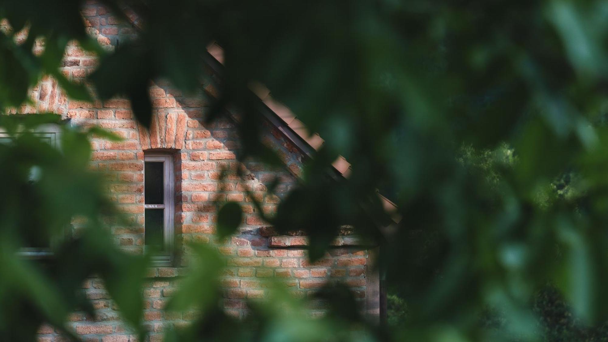 Willa Zapomnienie Nowa Ruda Zewnętrze zdjęcie